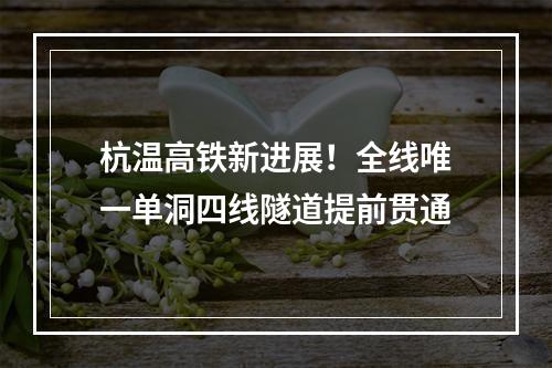 杭温高铁新进展！全线唯一单洞四线隧道提前贯通