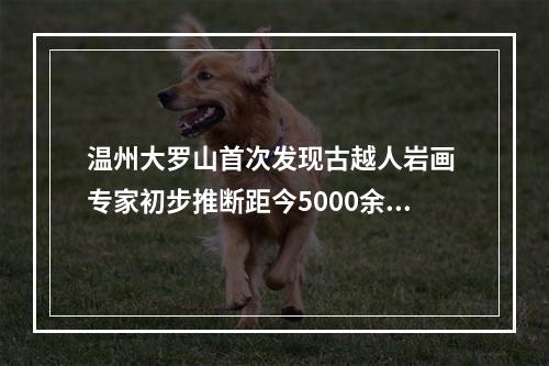 温州大罗山首次发现古越人岩画 专家初步推断距今5000余年