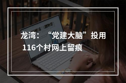 龙湾：“党建大脑”投用 116个村网上留痕