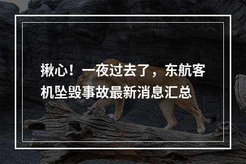 揪心！一夜过去了，东航客机坠毁事故最新消息汇总
