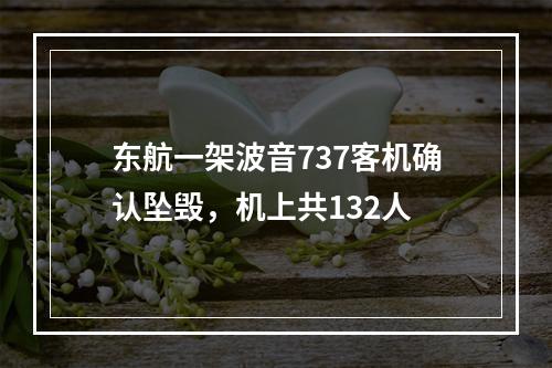 东航一架波音737客机确认坠毁，机上共132人