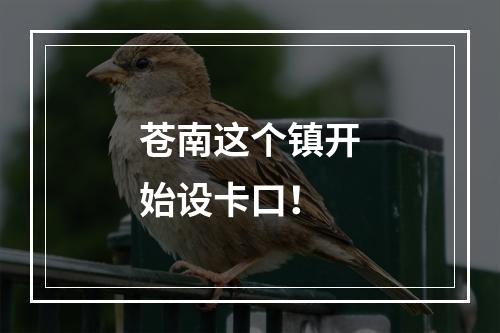 苍南这个镇开始设卡口！