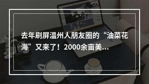 去年刷屏温州人朋友圈的“油菜花海”又来了！2000余亩美到爆