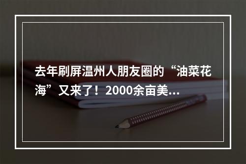 去年刷屏温州人朋友圈的“油菜花海”又来了！2000余亩美到爆