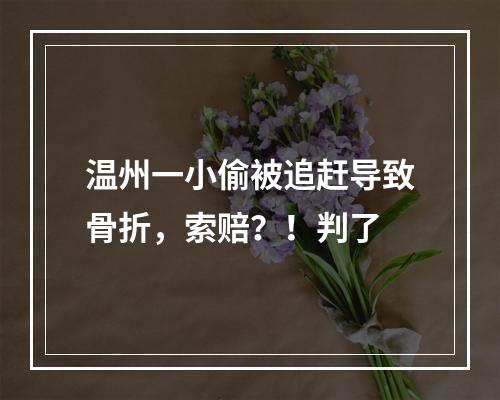 温州一小偷被追赶导致骨折，索赔？！判了