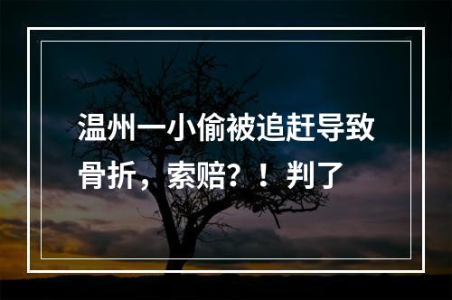 温州一小偷被追赶导致骨折，索赔？！判了