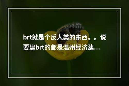 brt就是个反人类的东西。。说要建brt的都是温州经济建设的罪人。。