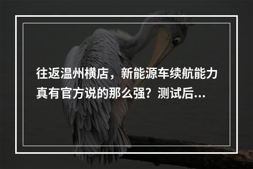 往返温州横店，新能源车续航能力真有官方说的那么强？测试后发现…