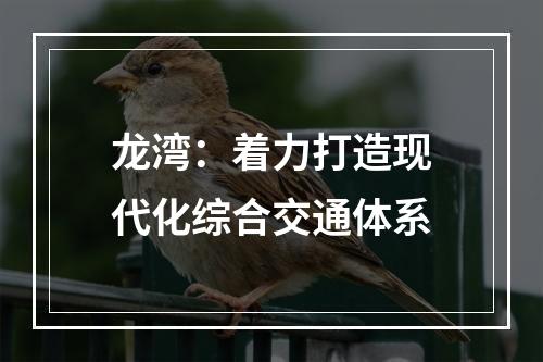 龙湾：着力打造现代化综合交通体系