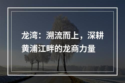 龙湾：溯流而上，深耕黄浦江畔的龙商力量