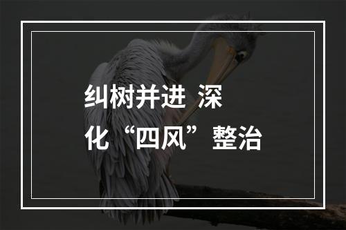 纠树并进  深化“四风”整治