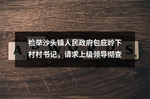检举沙头镇人民政府包庇岭下村村书记，请求上级领导彻查