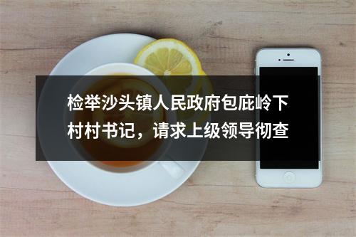 检举沙头镇人民政府包庇岭下村村书记，请求上级领导彻查