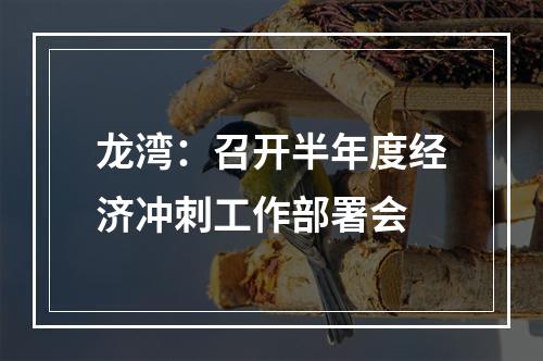 龙湾：召开半年度经济冲刺工作部署会