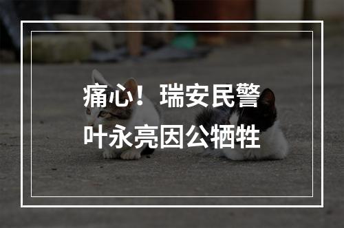 痛心！瑞安民警叶永亮因公牺牲