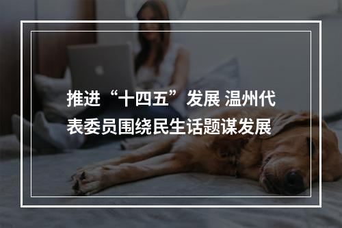 推进“十四五”发展 温州代表委员围绕民生话题谋发展