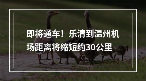 即将通车！乐清到温州机场距离将缩短约30公里