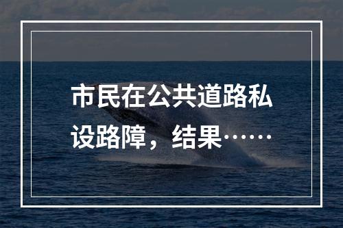市民在公共道路私设路障，结果……