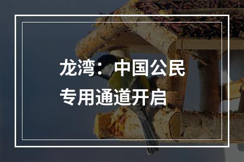 龙湾：中国公民专用通道开启