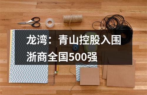 龙湾：青山控股入围浙商全国500强