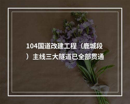 104国道改建工程（鹿城段）主线三大隧道已全部贯通