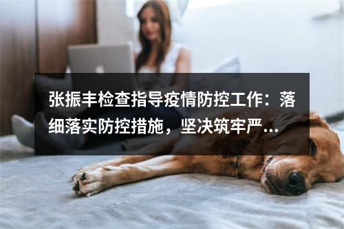 张振丰检查指导疫情防控工作：落细落实防控措施，坚决筑牢严密防线