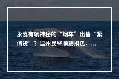 永嘉有辆神秘的“烟车”出售“紧俏货”？温州民警顺藤摸瓜，背后竟涉及…