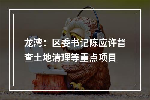 龙湾：区委书记陈应许督查土地清理等重点项目