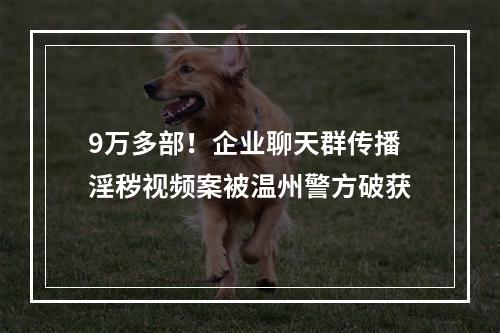 9万多部！企业聊天群传播淫秽视频案被温州警方破获