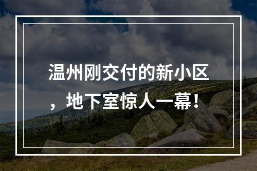 温州刚交付的新小区，地下室惊人一幕！