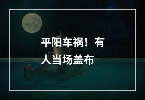 平阳车祸！有人当场盖布