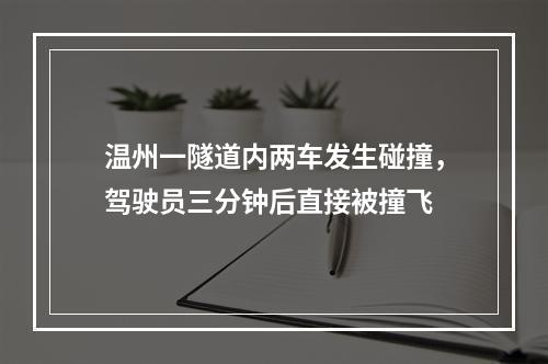 温州一隧道内两车发生碰撞，驾驶员三分钟后直接被撞飞