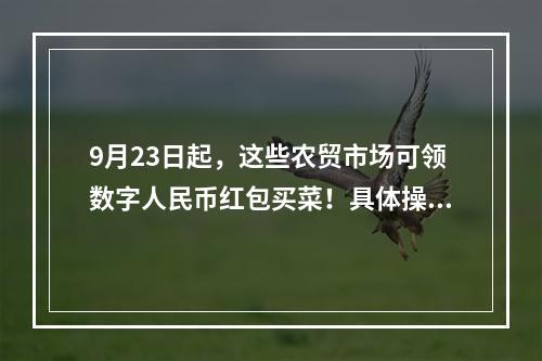 9月23日起，这些农贸市场可领数字人民币红包买菜！具体操作看这里→