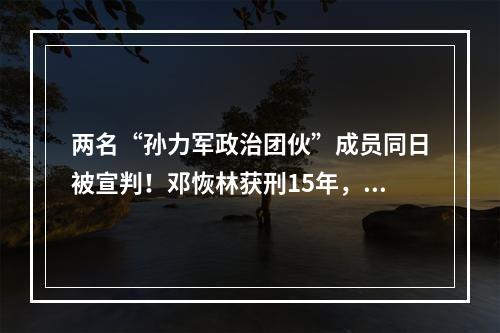 两名“孙力军政治团伙”成员同日被宣判！邓恢林获刑15年，龚道安被判无期