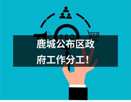 鹿城公布区政府工作分工！
