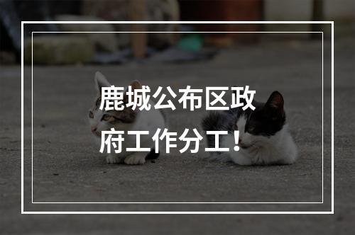 鹿城公布区政府工作分工！