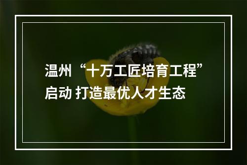温州“十万工匠培育工程”启动 打造最优人才生态