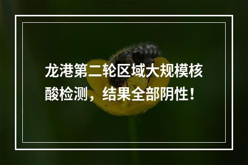 龙港第二轮区域大规模核酸检测，结果全部阴性！