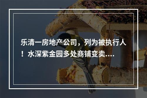 乐清一房地产公司，列为被执行人！水深紫金园多处商铺变卖....