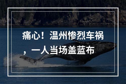 痛心！温州惨烈车祸，一人当场盖蓝布