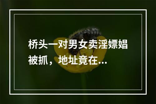 桥头一对男女卖淫嫖娼被抓，地址竟在...