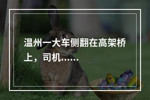 温州一大车侧翻在高架桥上，司机......