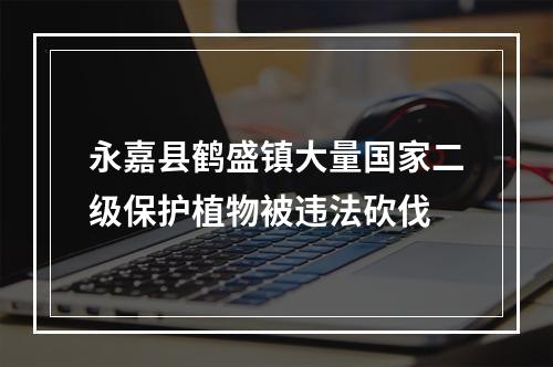 永嘉县鹤盛镇大量国家二级保护植物被违法砍伐