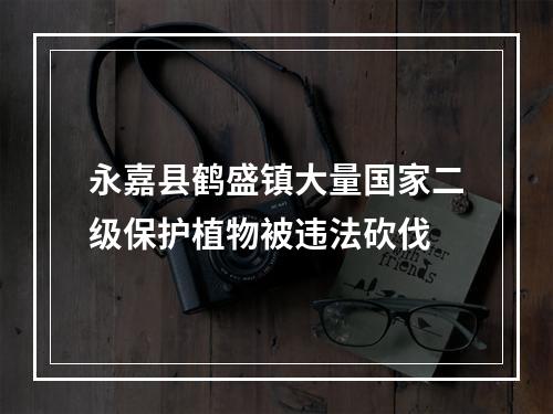 永嘉县鹤盛镇大量国家二级保护植物被违法砍伐