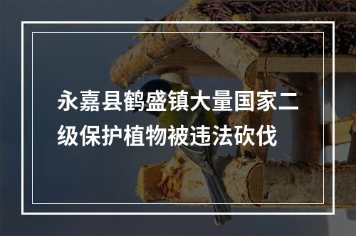 永嘉县鹤盛镇大量国家二级保护植物被违法砍伐