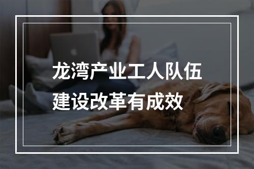 龙湾产业工人队伍建设改革有成效