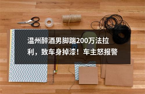 温州醉酒男脚踹200万法拉利，致车身掉漆！车主怒报警