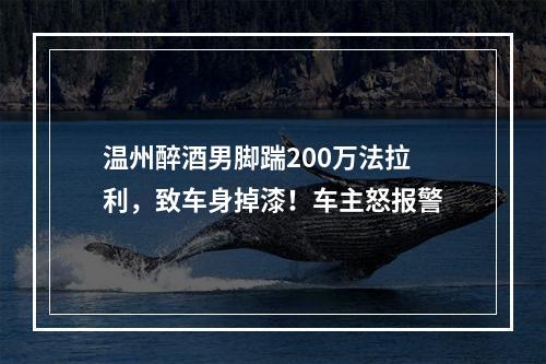 温州醉酒男脚踹200万法拉利，致车身掉漆！车主怒报警