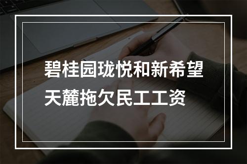 碧桂园珑悦和新希望天麓拖欠民工工资