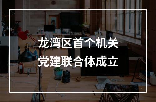 龙湾区首个机关党建联合体成立
